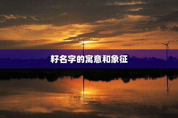 籽名字的寓意和象征