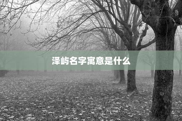 泽屿名字寓意是什么