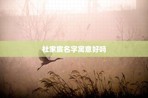 杜家宸名字寓意好吗