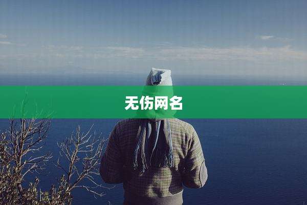 无伤网名