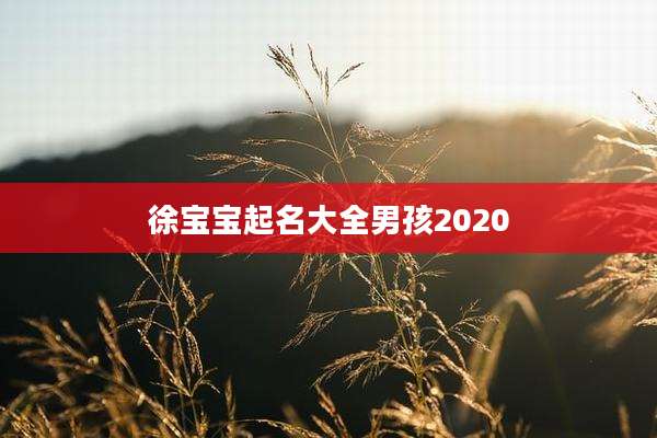 徐宝宝起名大全男孩2020