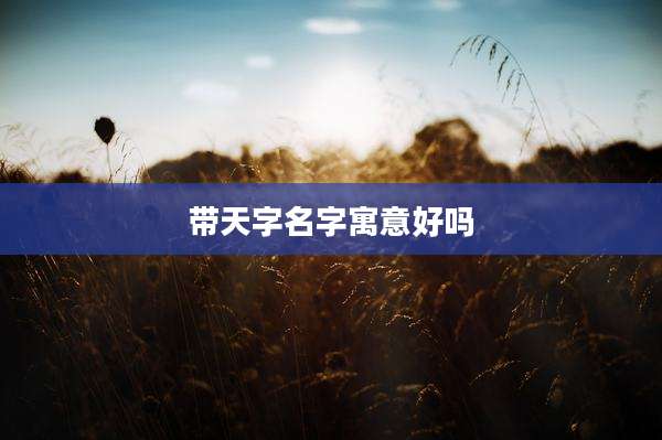 带天字名字寓意好吗