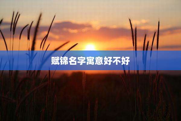 赋锦名字寓意好不好
