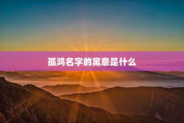 孤鸿名字的寓意是什么