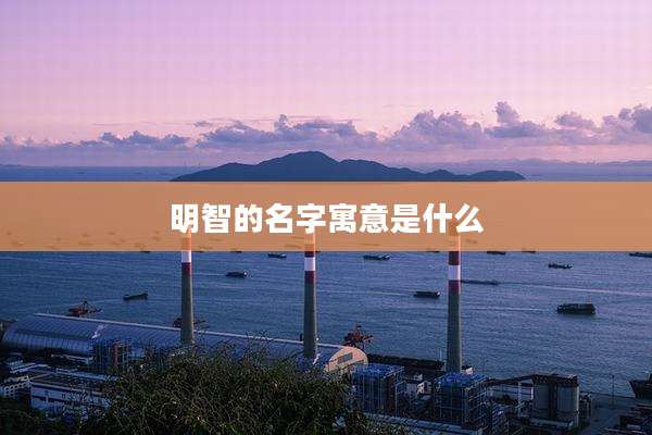 明智的名字寓意是什么