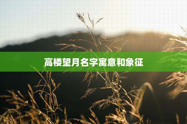 高楼望月名字寓意和象征