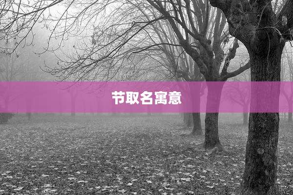节取名寓意