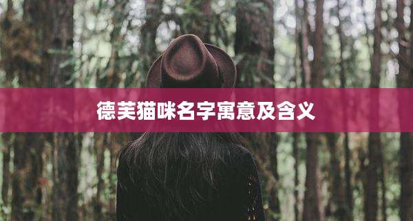 德芙猫咪名字寓意及含义