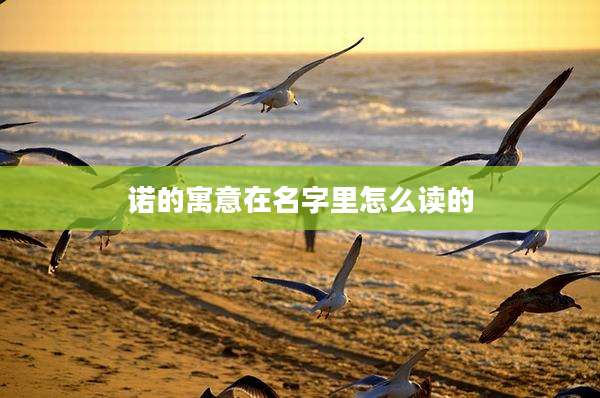 诺的寓意在名字里怎么读的