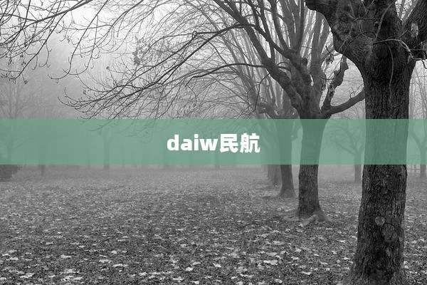 daiw民航