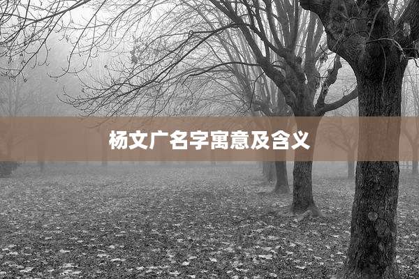 杨文广名字寓意及含义
