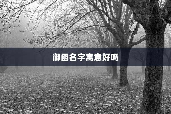 御函名字寓意好吗
