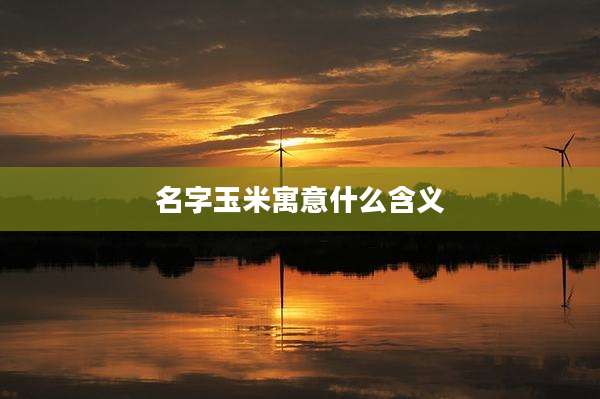 名字玉米寓意什么含义
