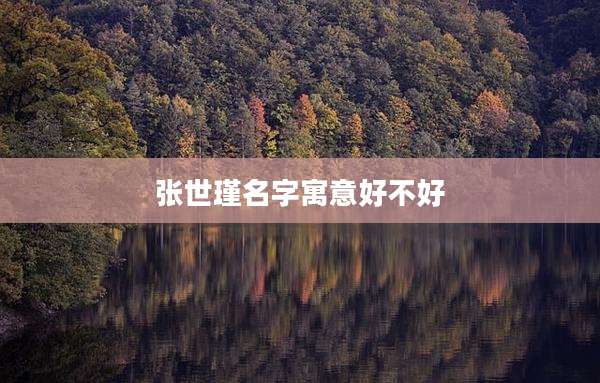 张世瑾名字寓意好不好