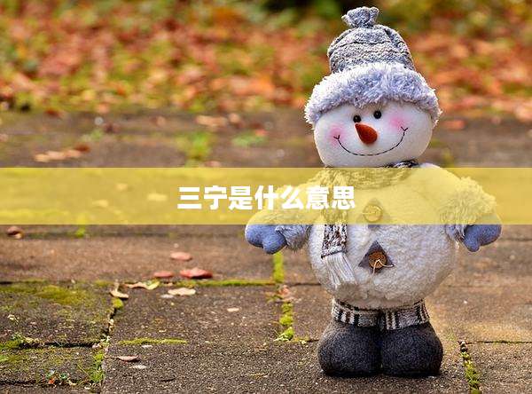 三宁是什么意思