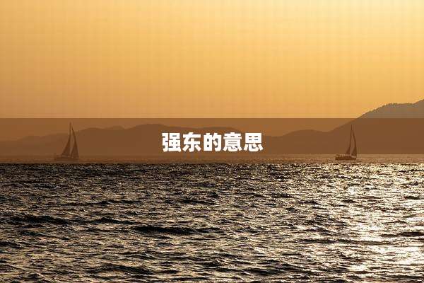 强东的意思