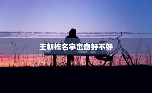 王朝栋名字寓意好不好