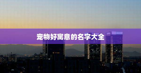 宠物好寓意的名字大全