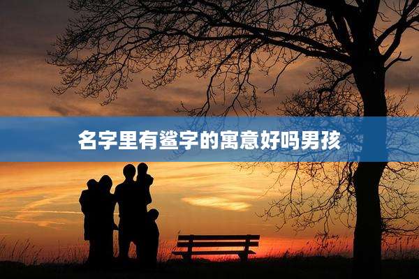 名字里有鲨字的寓意好吗男孩