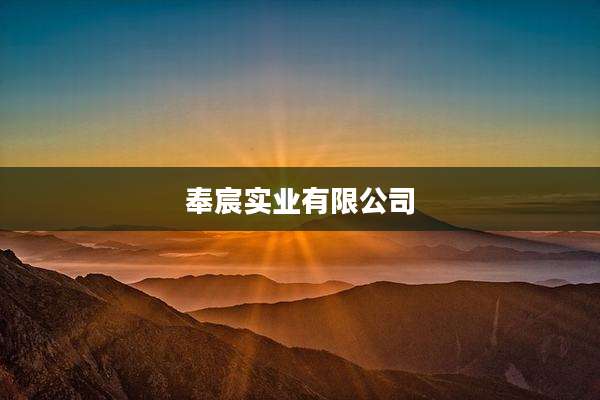 奉宸实业有限公司