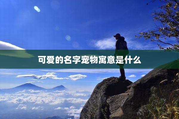 可爱的名字宠物寓意是什么