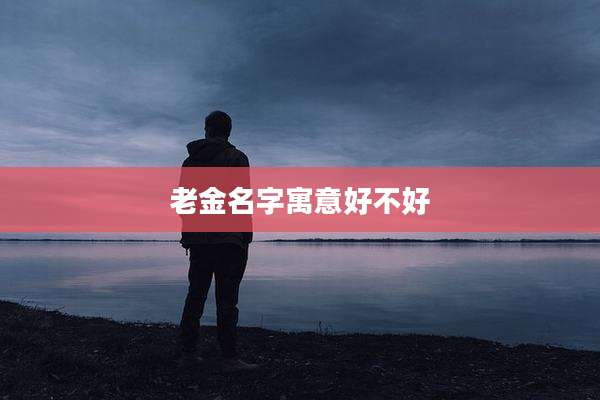 老金名字寓意好不好