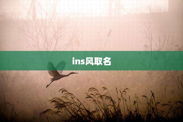 ins风取名