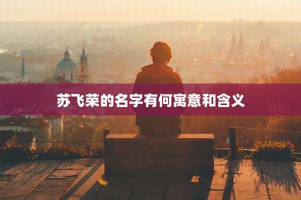 苏飞荣的名字有何寓意和含义