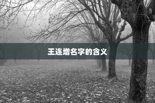 王连增名字的含义