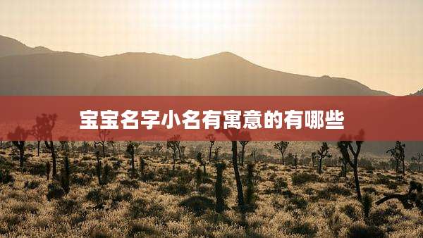 宝宝名字小名有寓意的有哪些