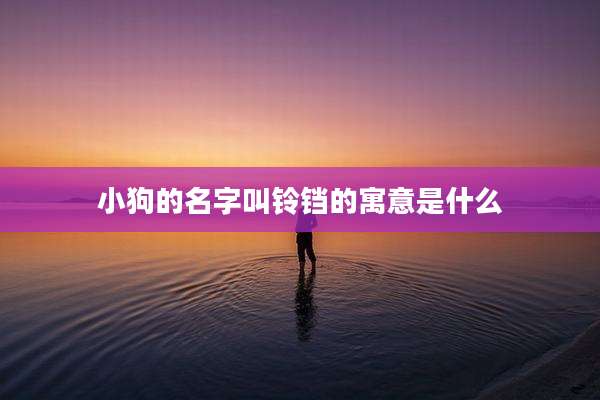 小狗的名字叫铃铛的寓意是什么