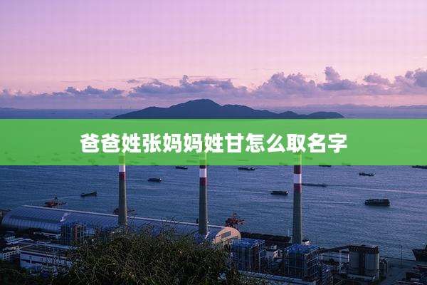 爸爸姓张妈妈姓甘怎么取名字