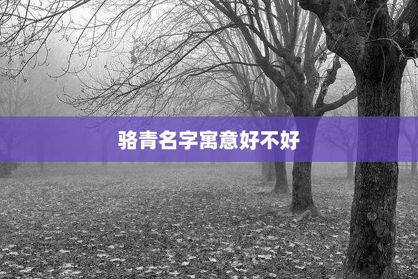 骆青名字寓意好不好