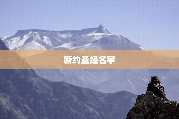 新约圣经名字