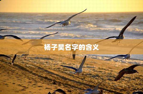 杨子昊名字的含义