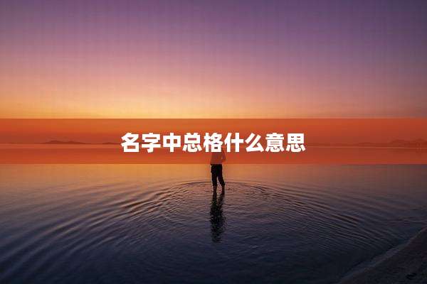 名字中总格什么意思