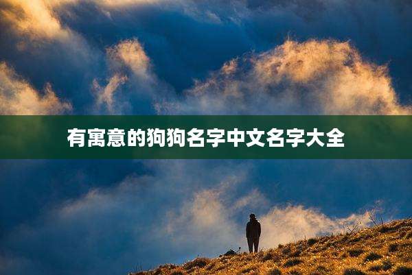 有寓意的狗狗名字中文名字大全