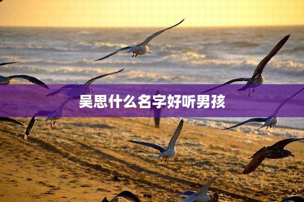 吴思什么名字好听男孩
