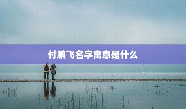 付鹏飞名字寓意是什么