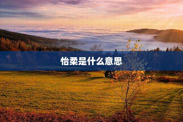 怡柔是什么意思