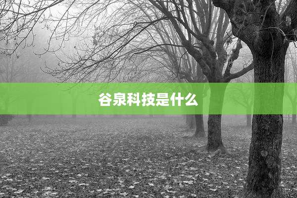 谷泉科技是什么