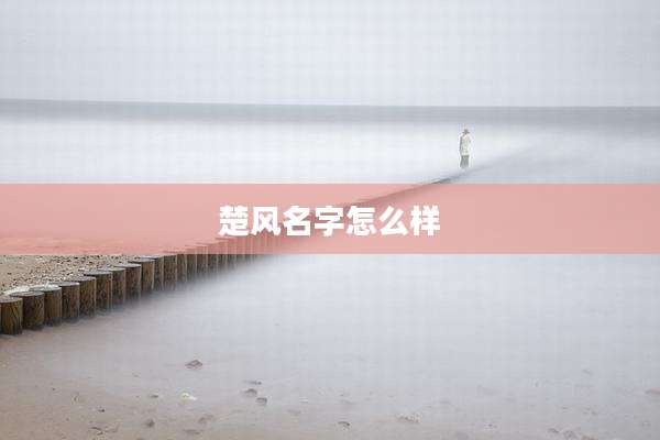 楚风名字怎么样