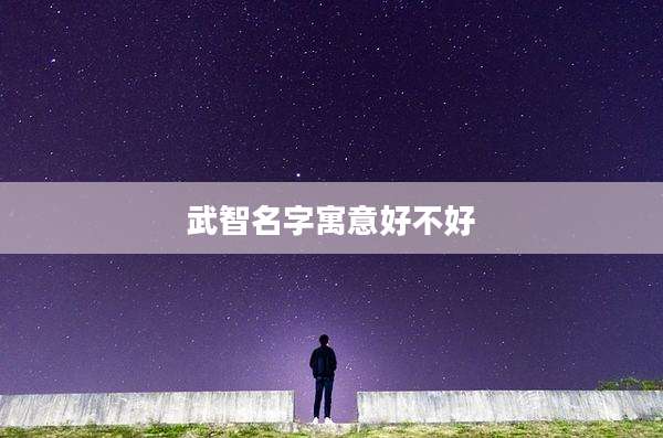 武智名字寓意好不好
