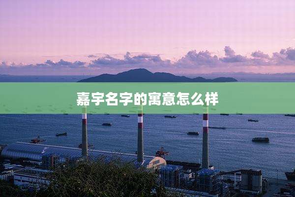 嘉宇名字的寓意怎么样