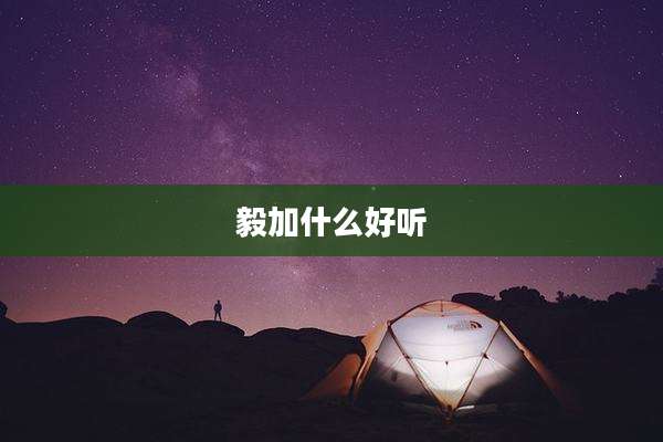 毅加什么好听