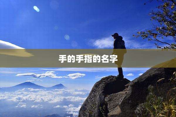 手的手指的名字