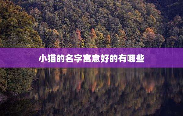 小猫的名字寓意好的有哪些