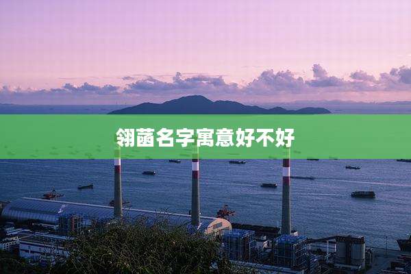 翎菡名字寓意好不好