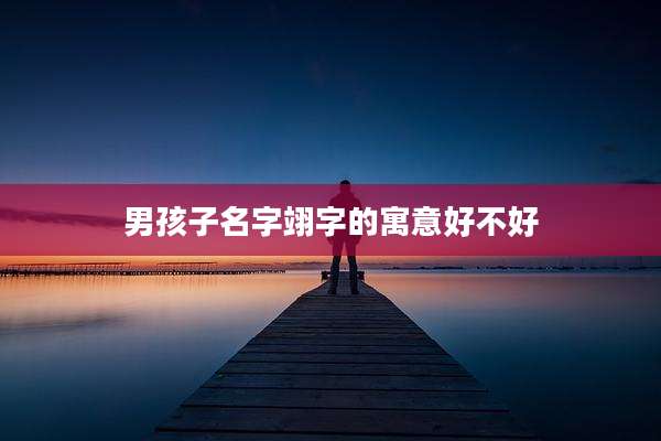 男孩子名字翊字的寓意好不好