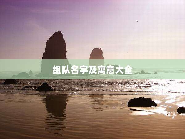 组队名字及寓意大全